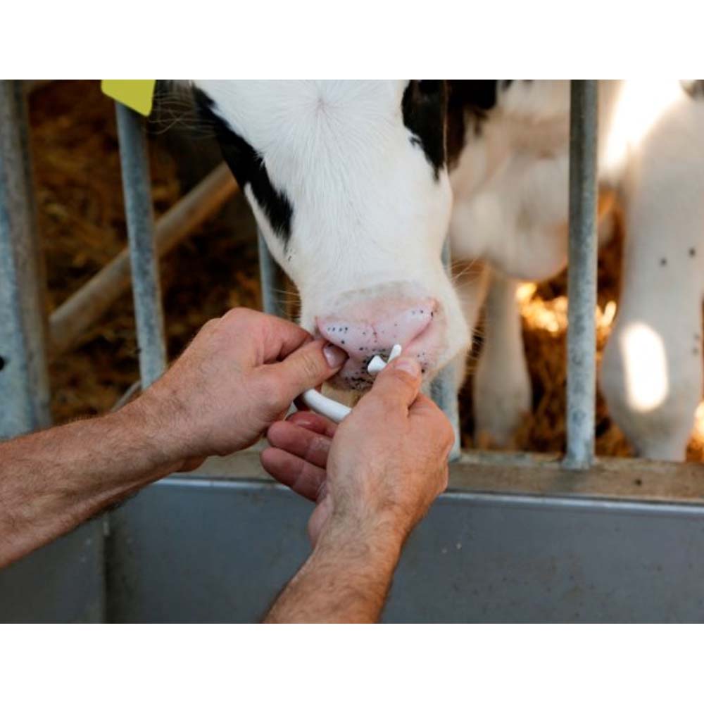 Antisucchio Suckstop Muller trasparente