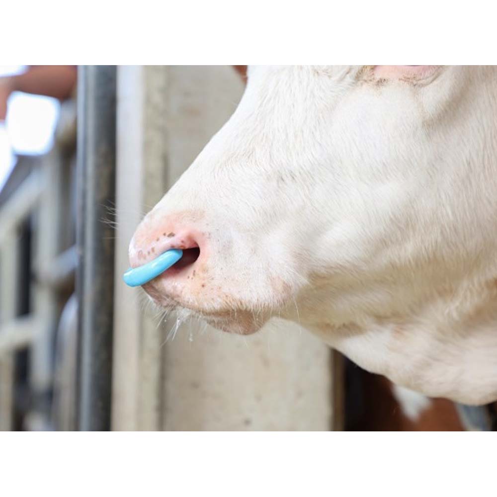 Antisucchio Suckstop Muller trasparente