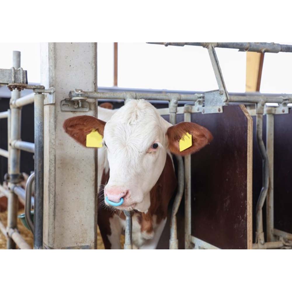 Antisucchio Suckstop Muller trasparente