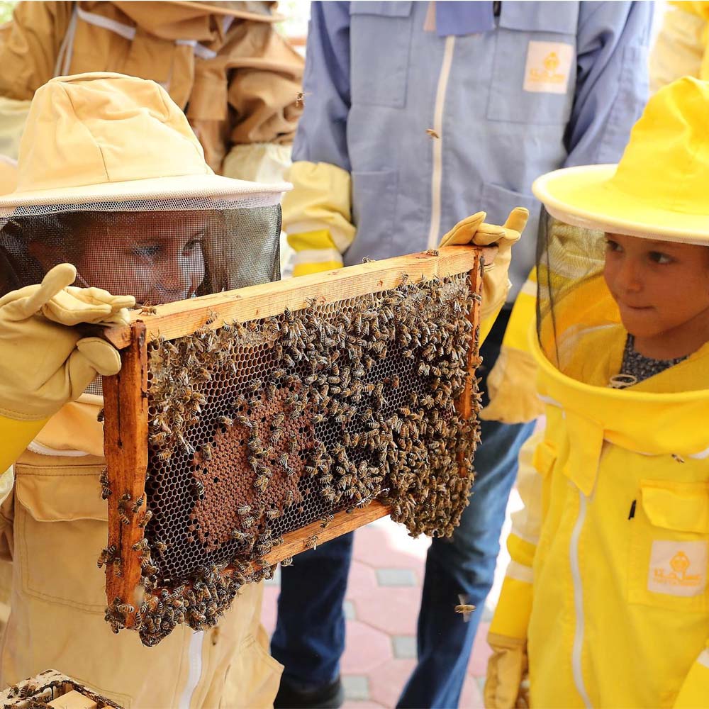 maglia Bieno apicoltore