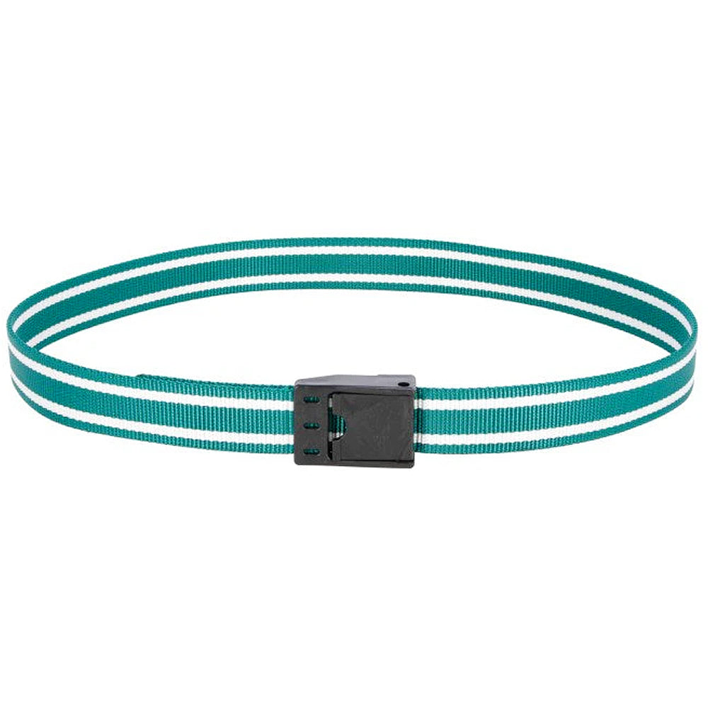 Collare marcatore di colore verde/bianco per vacca