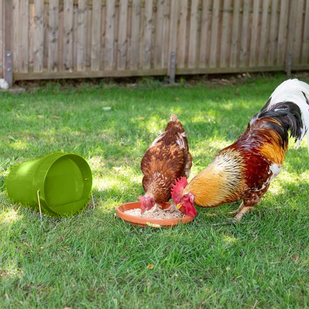 Bevitore a Secchio in Plastica 6 L. (Verde) – Resistente per Pollame con Coperchio Rimovibile