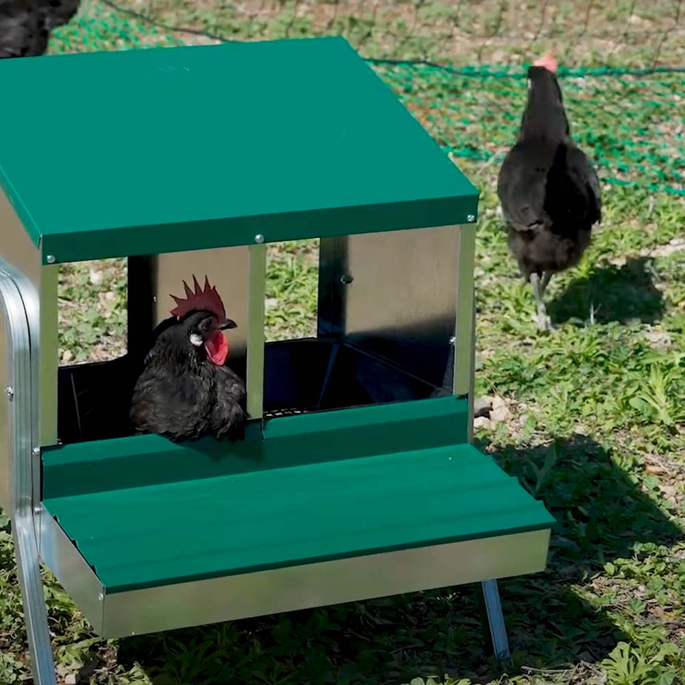 Nido con Cestino per Galline Ovaiole in Metallo e Plastica
