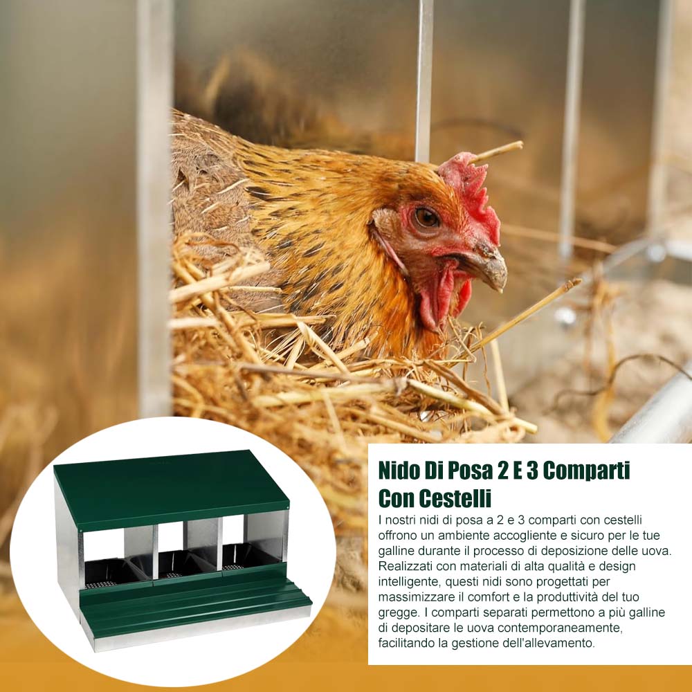Nido con Cestino per Galline Ovaiole in Metallo e Plastica