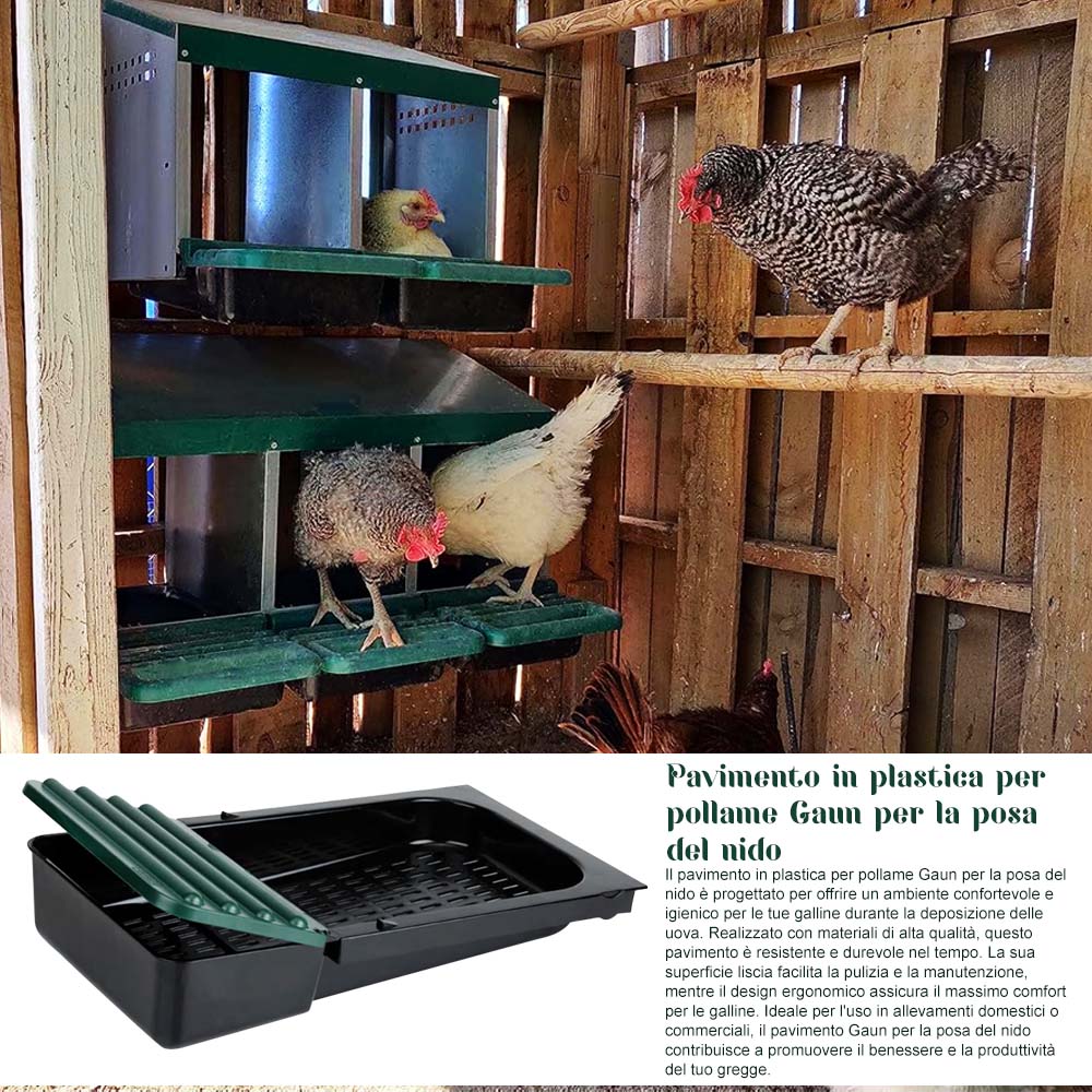 Nido con Cestino per Galline Ovaiole in Metallo e Plastica