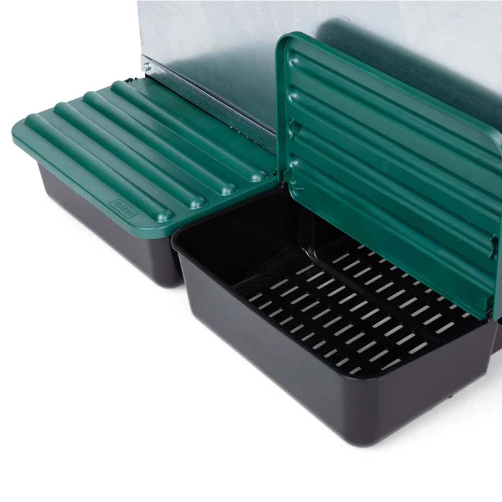 Nido con Cestino per Galline Ovaiole in Metallo e Plastica