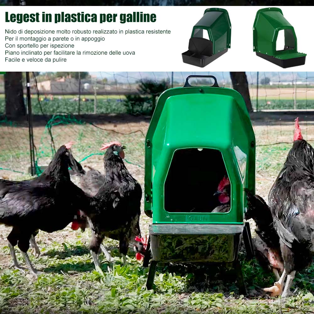Nido in Plastica per Galline – Resistente ABS Plastica (Con o Senza Gambe)