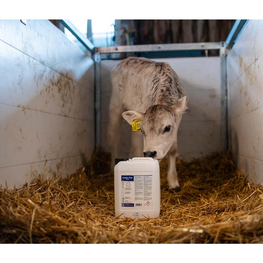 Mangime complementare Concentrato liquido Surlac Plus - 1lt, 5lt