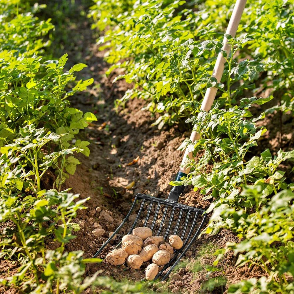 Forca per patate in filo d'acciaio