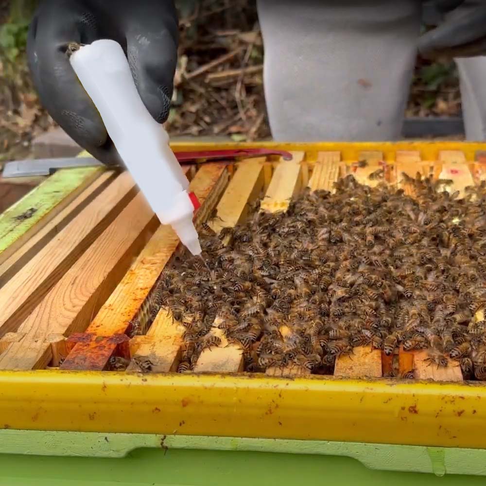 Api Bioxal 500 ml - Soluzione a base di acido ossalico con glicerolo