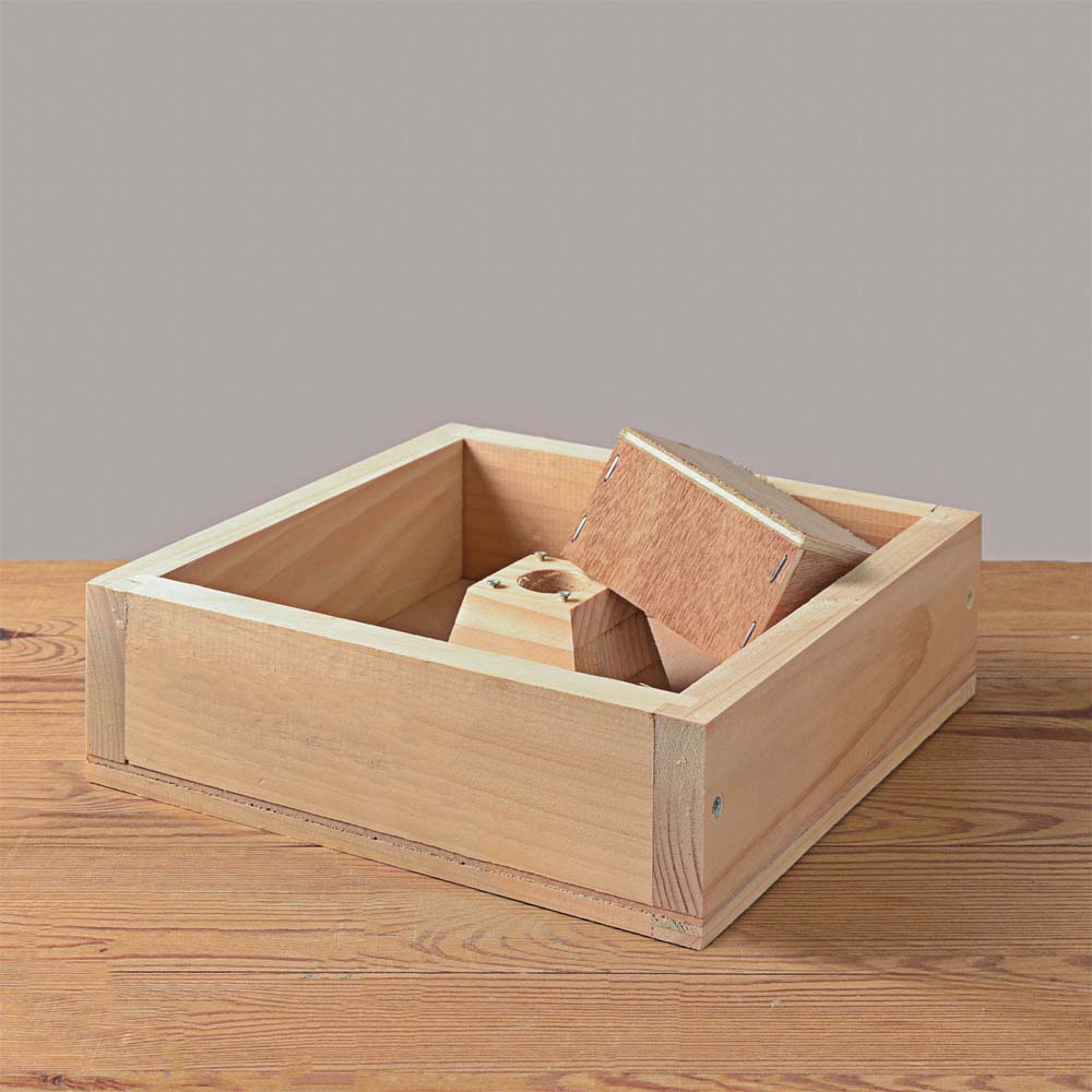 Coprifavo a Nutritore per Mini Plus