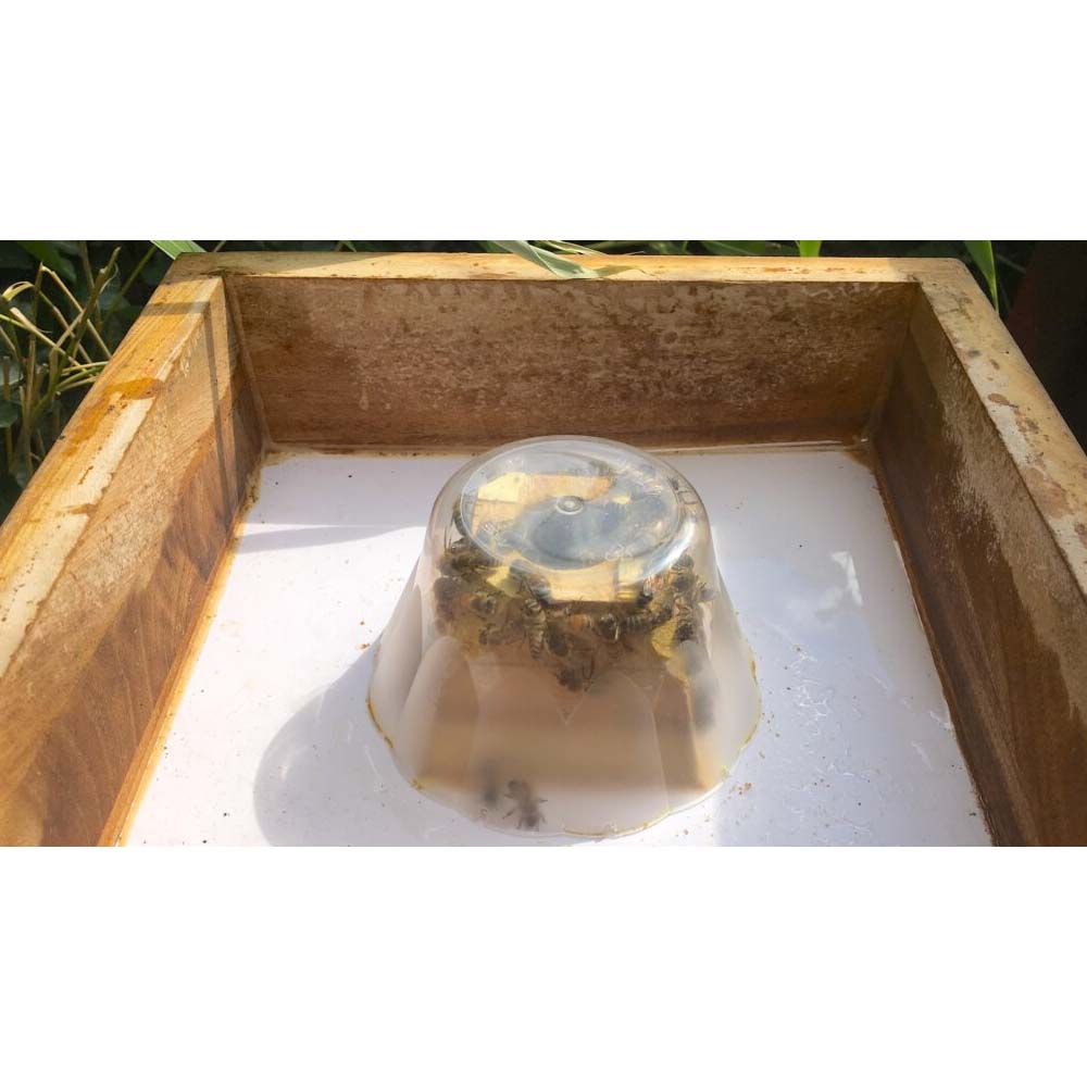 Coprifavo a Nutritore per Mini Plus