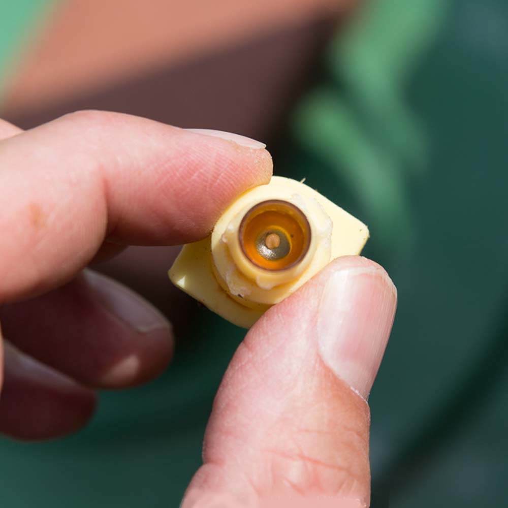 Coppa Nicot bianca per l'allevamento delle api regine