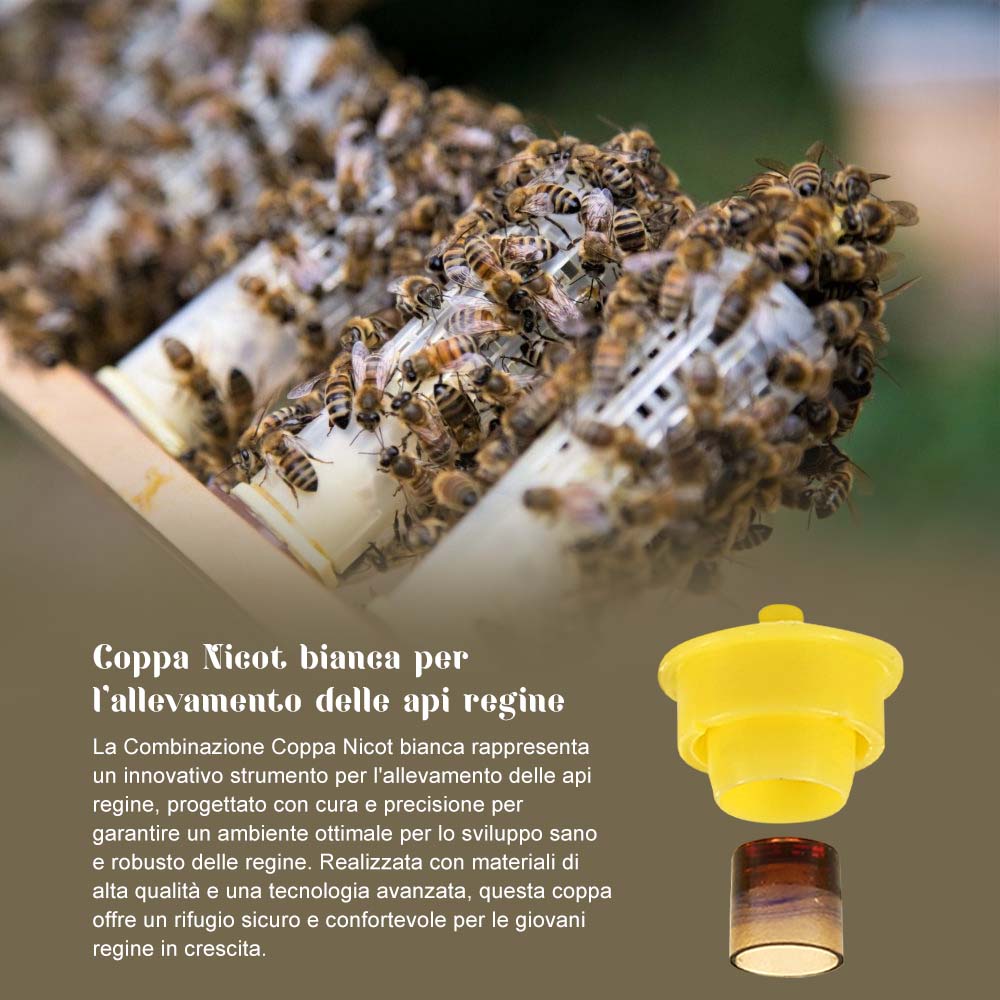 Coppa Nicot bianca per l'allevamento delle api regine