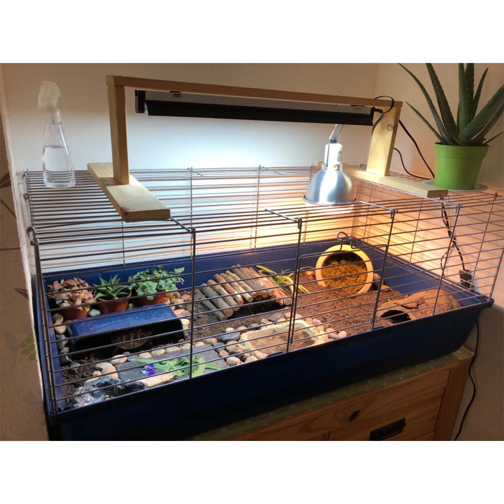 Gabbia per piccoli animali gabbia baldo