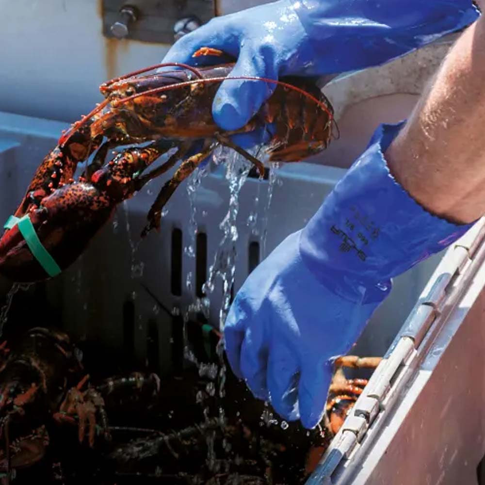 Guanti protettivi Showa