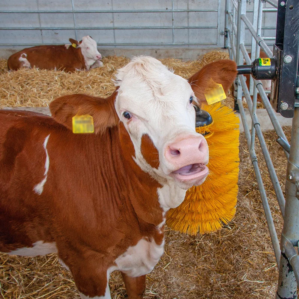 Spazzola oscillante Mini, Midi, Maxi per cavalli, bovini, capre e alpaca