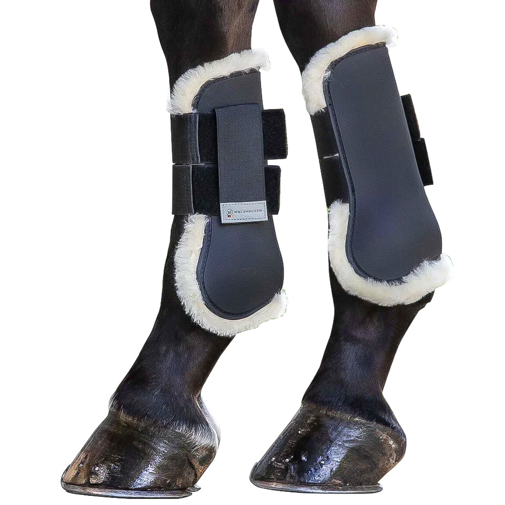 Paratendini con agnellino nero WB