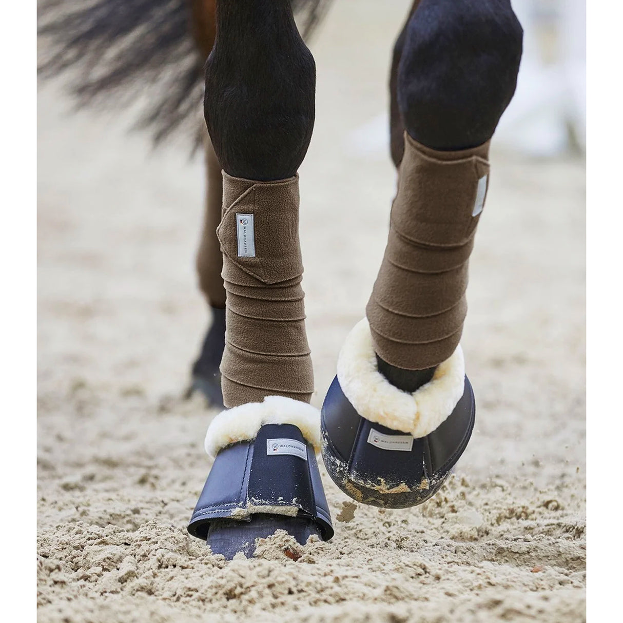 Fasce Esperia WB rosso