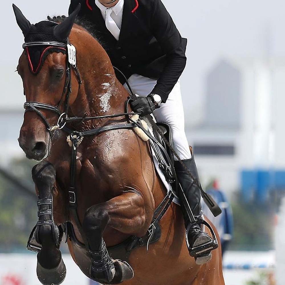 Frustino da salto con impugnatura speciale di elevata qualità nero