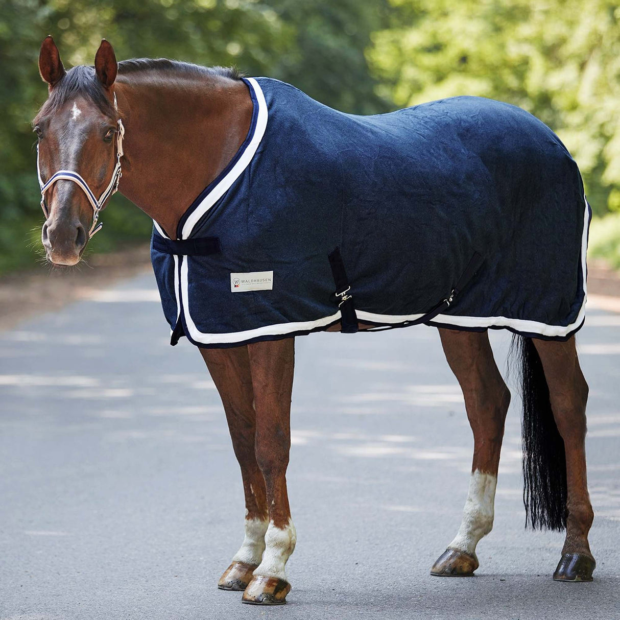 Coperta in pile Esperia - blu 145cm