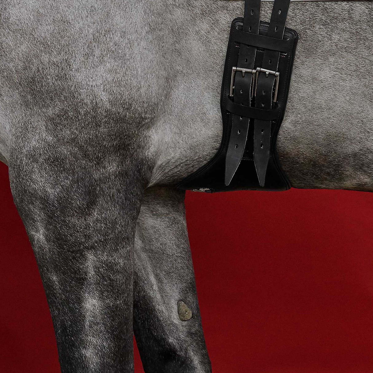 Sottopancia inglese nero misura