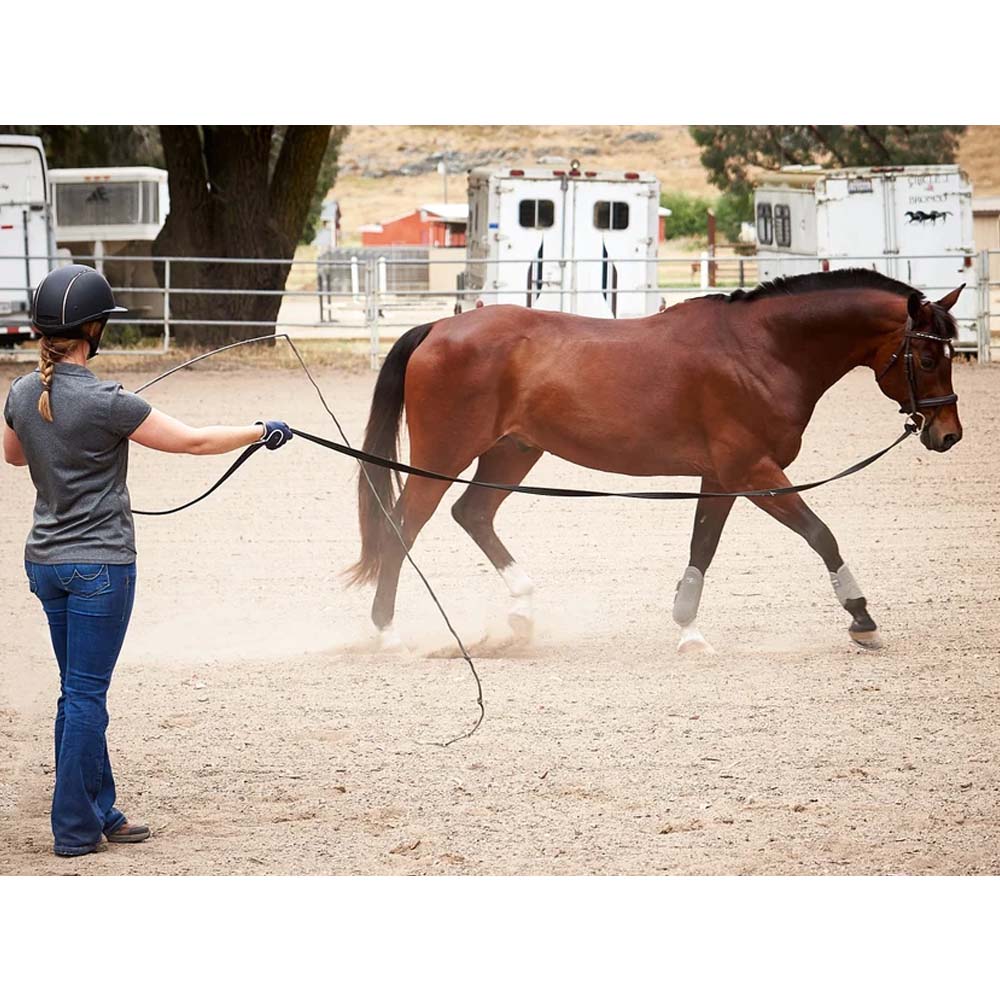 cordino cavallo di qualità