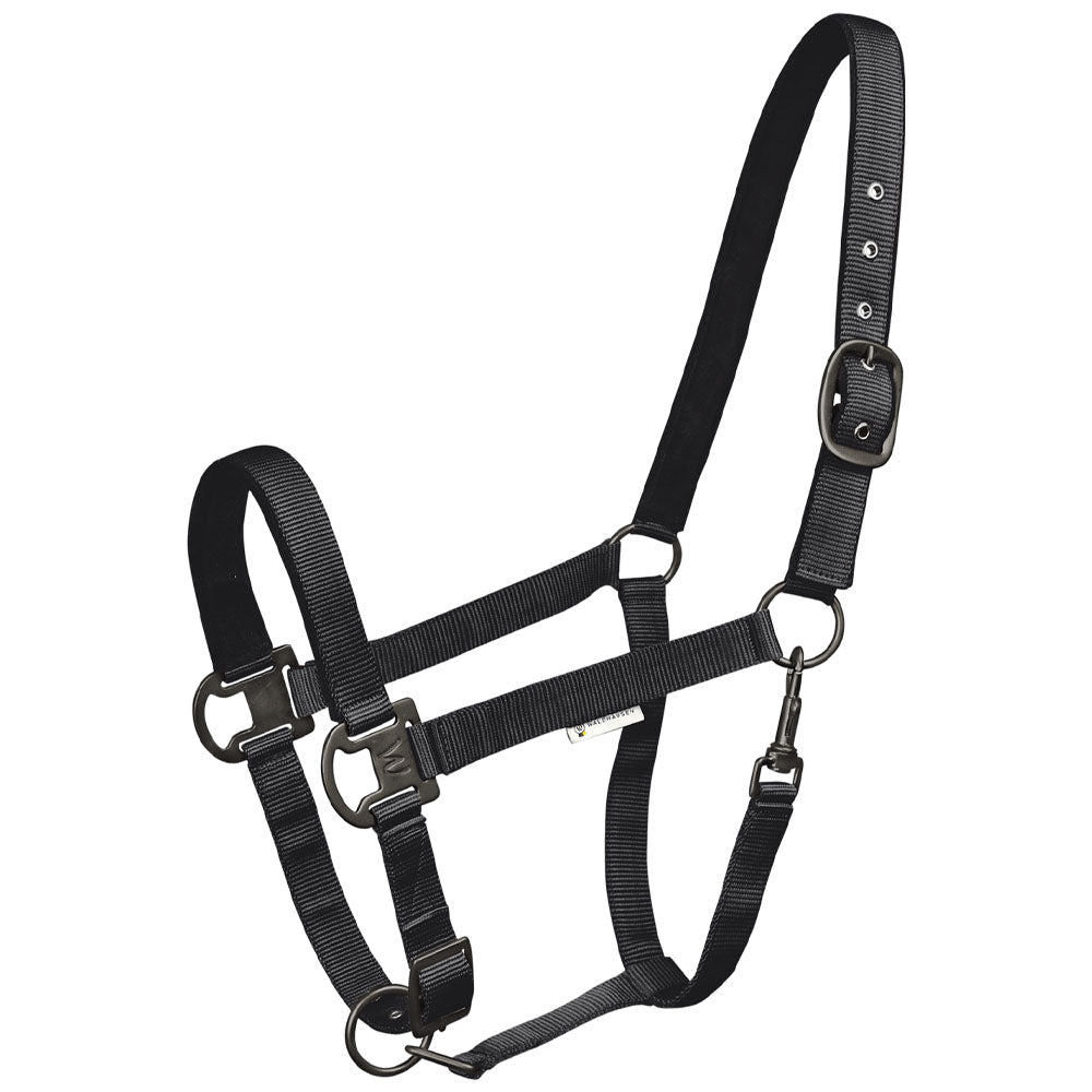 Capezza Gloomy regolabile con fibbia nera