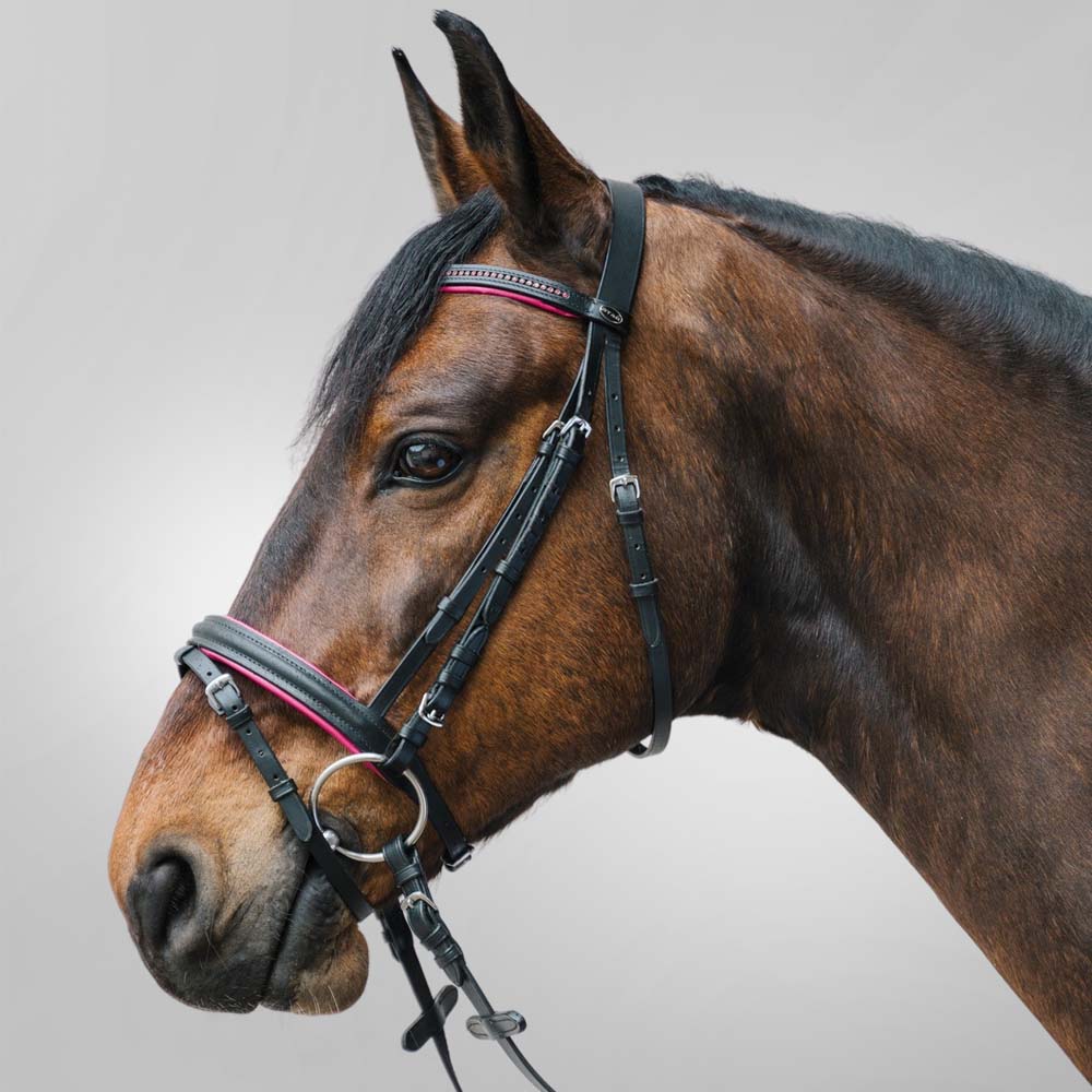 filetto pony alta qualità