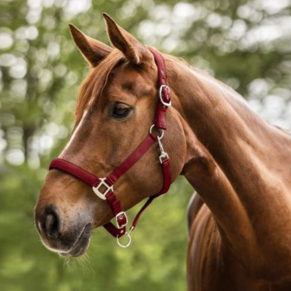 Capezza Satin Regolabile e Morbida