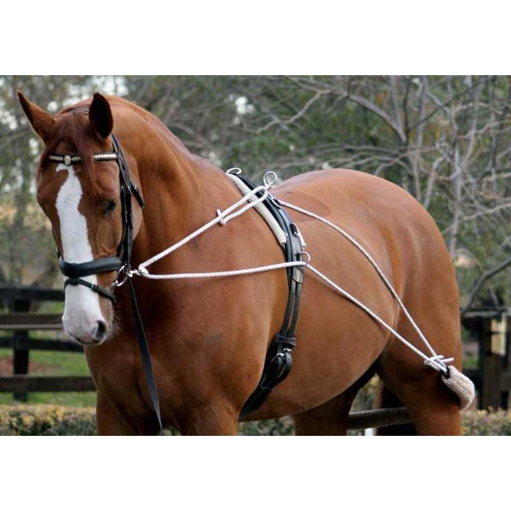 Fascione da doma 13 anelli nero bilanciato