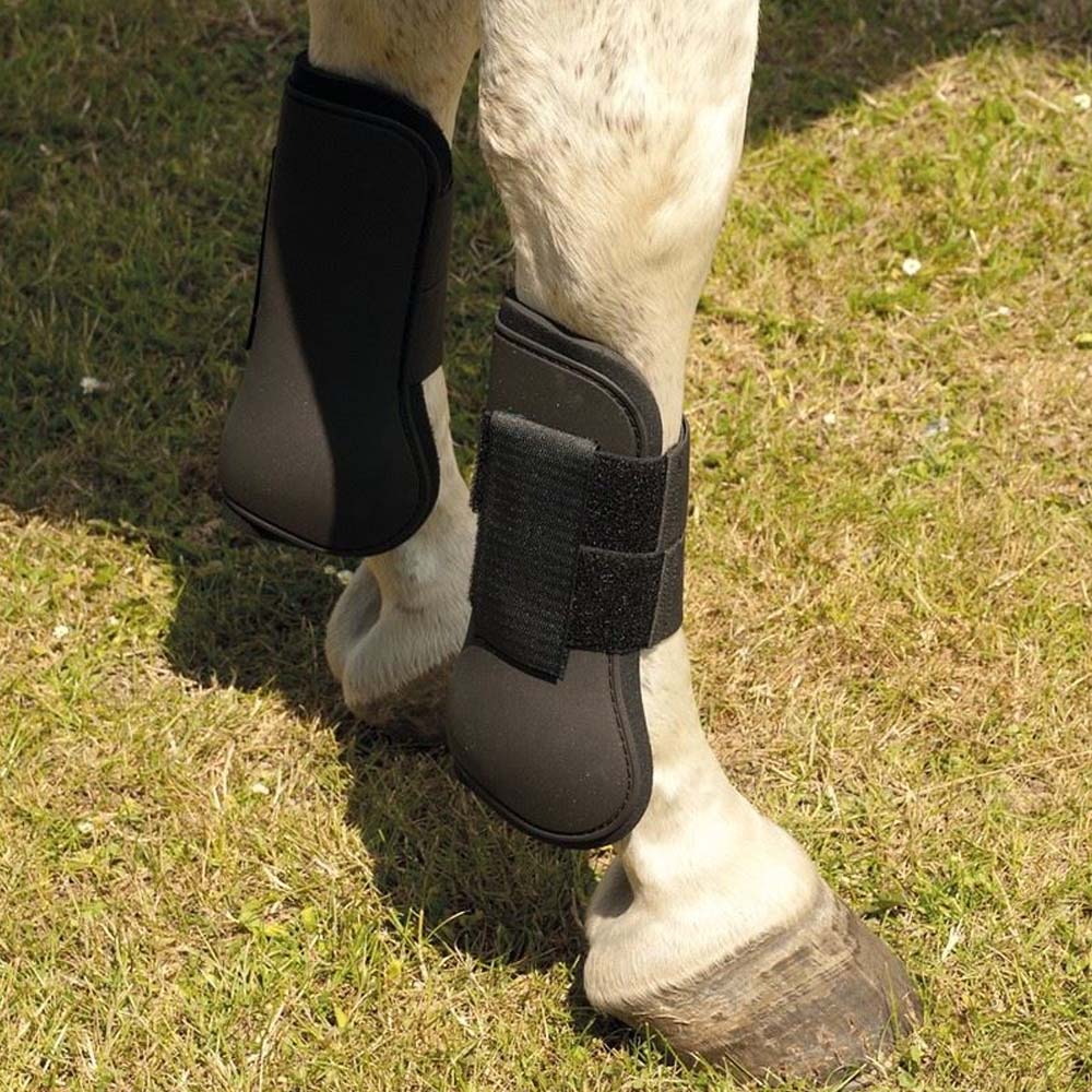 paratendini per allenamento cavallo