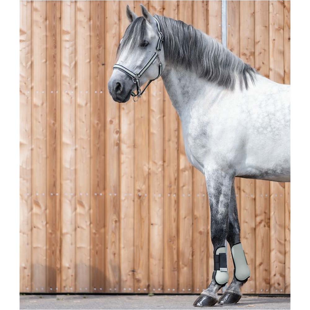 paratendini cavallo alta qualità