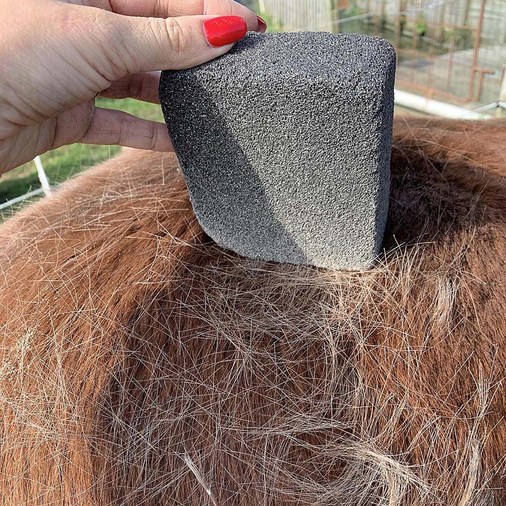 Pietra pomice per cura cavallo-tessuti