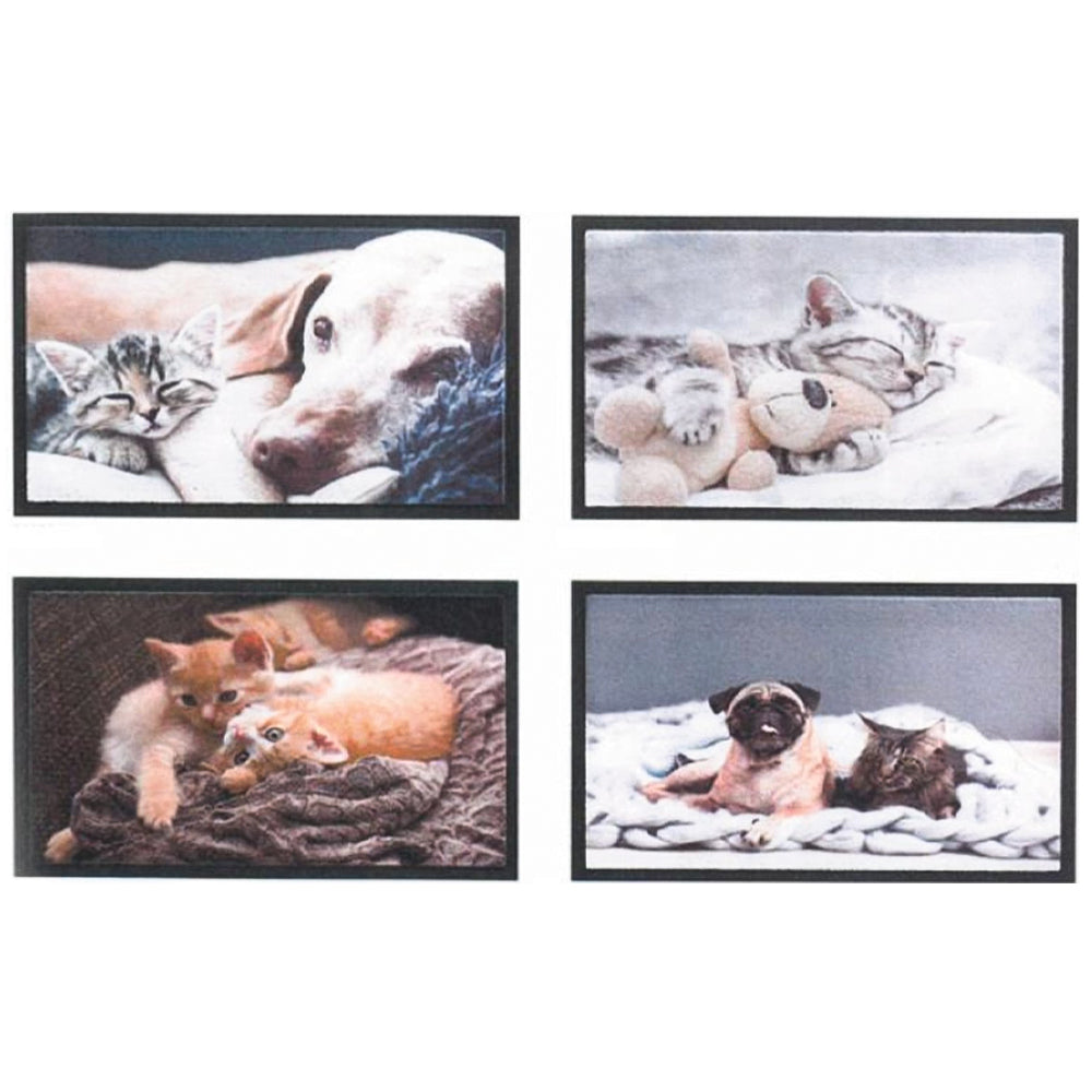 Zerbino Look 40×60cm – Elegante e Pratico per Interni