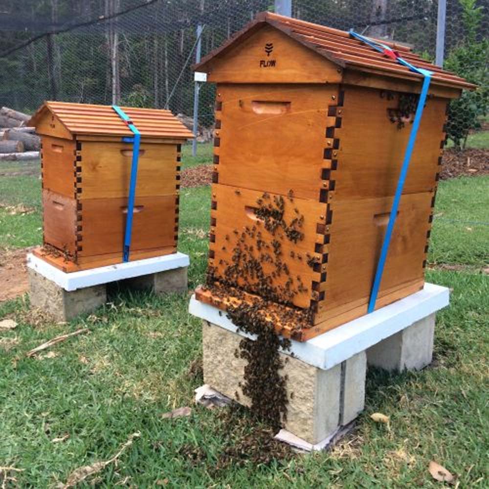 Imbracature da escursionismo ApiNord®