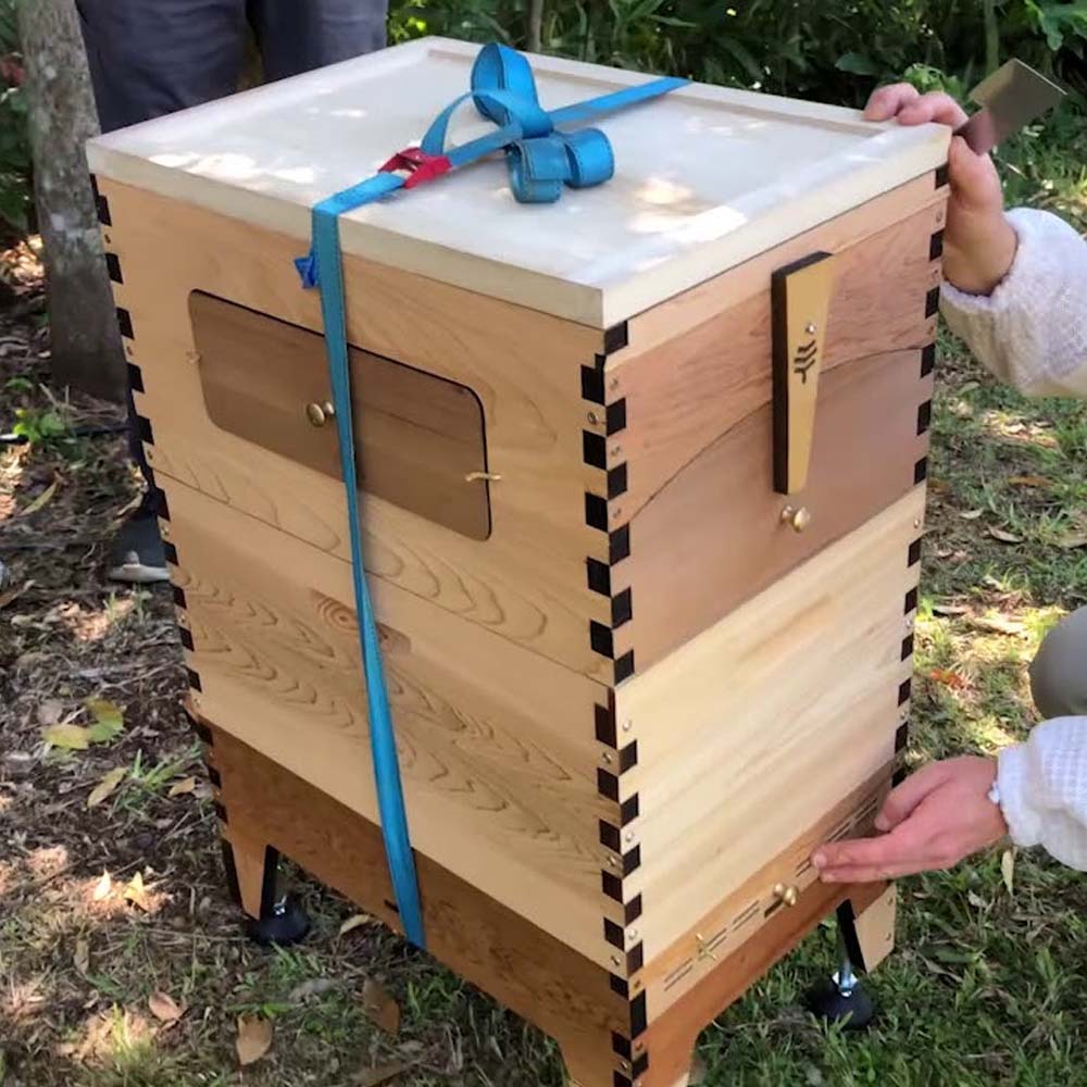 Imbracature da escursionismo ApiNord®