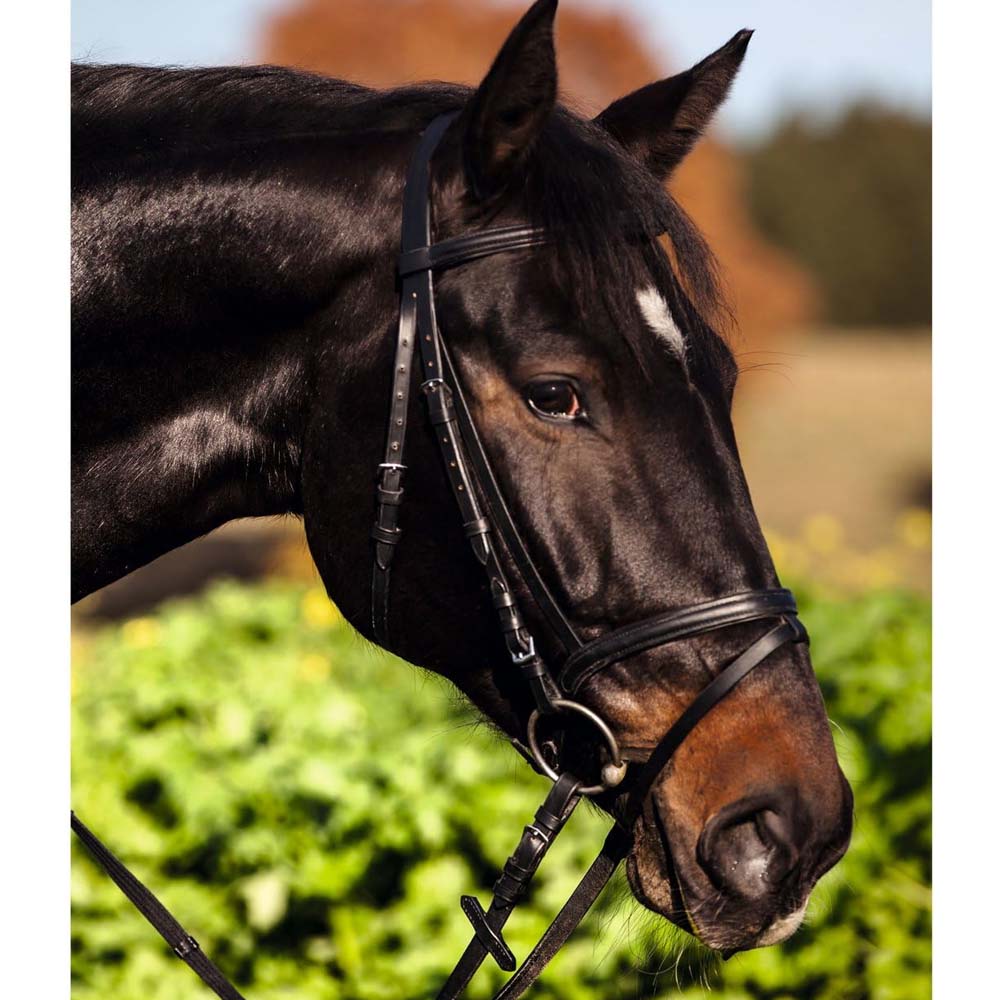 Filetto ad anelli pony