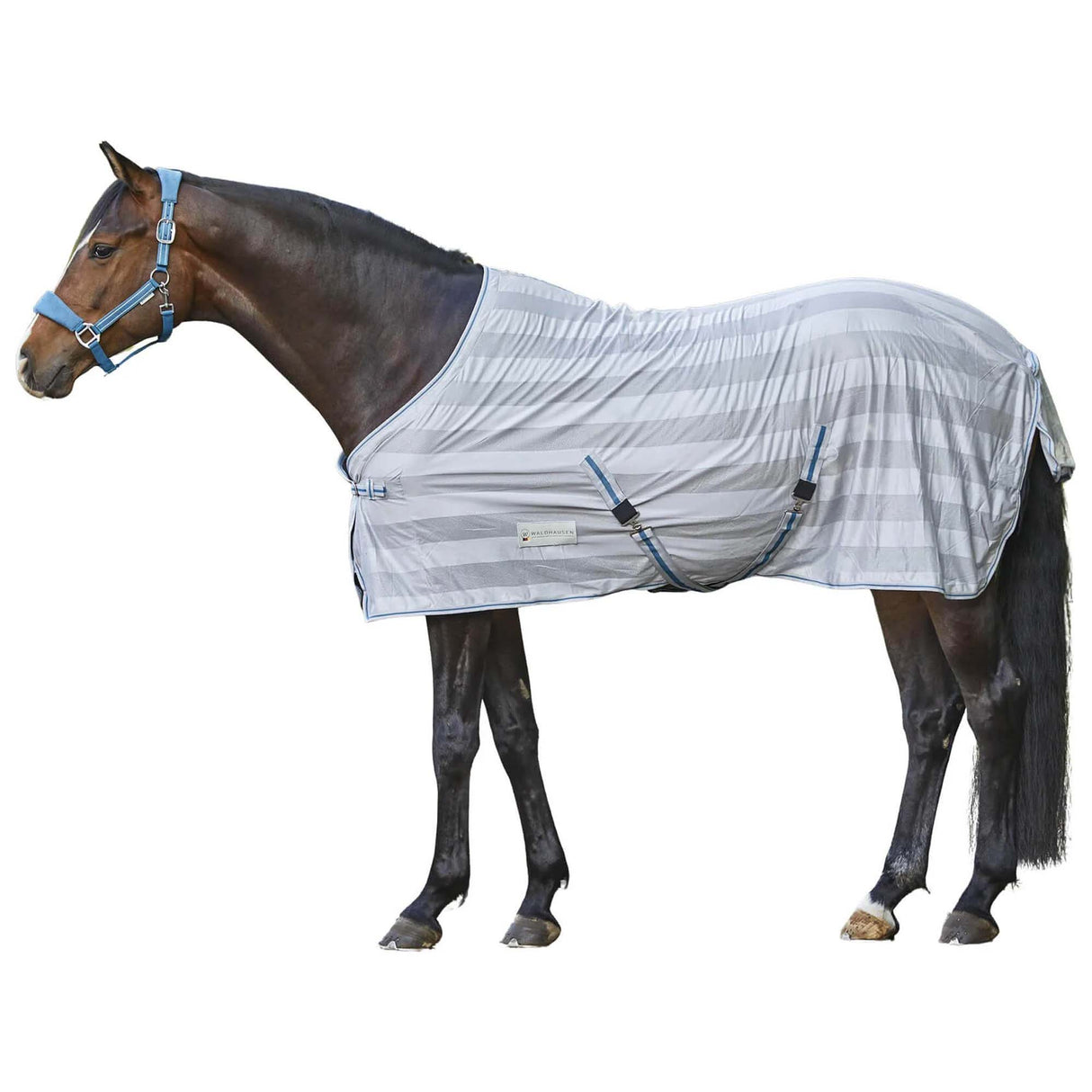 Coperta Antimosche Economica con Cinghie Incrociate