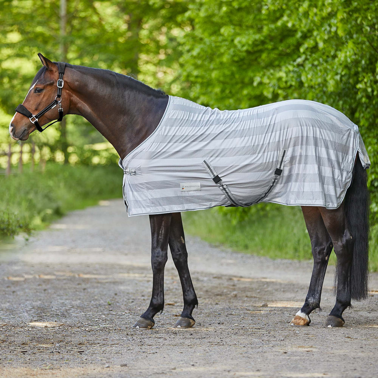 Coperta Antimosche Economica con Cinghie Incrociate