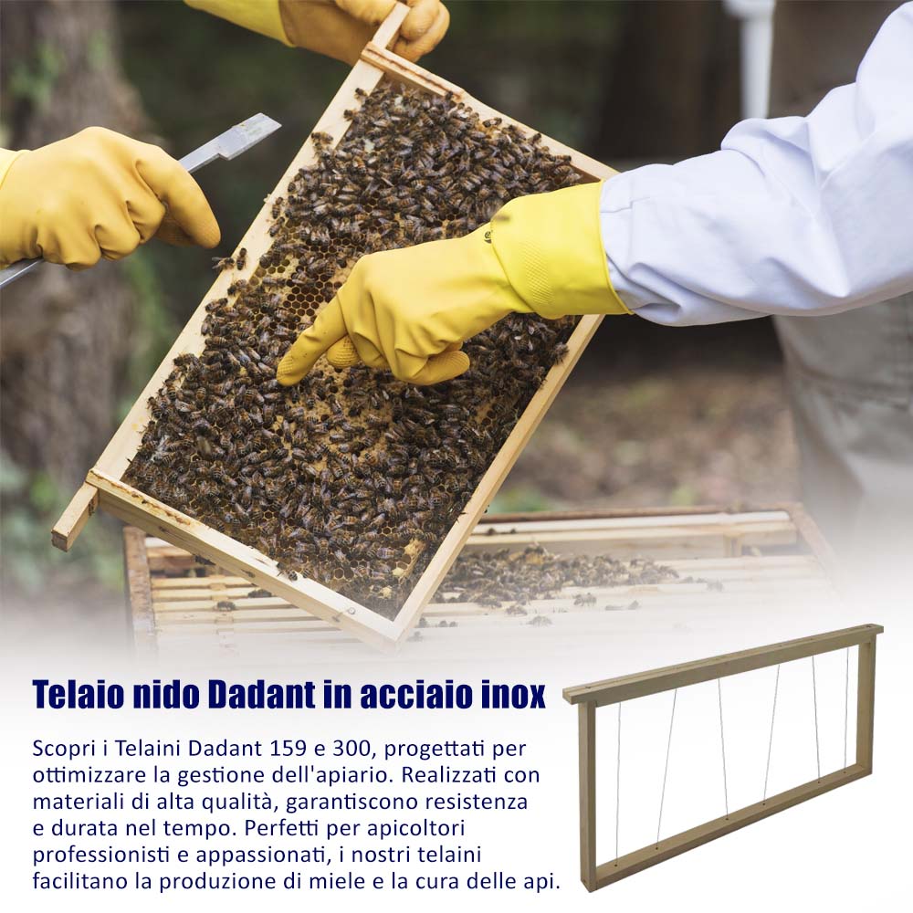 Telaio nido resistente apicoltura