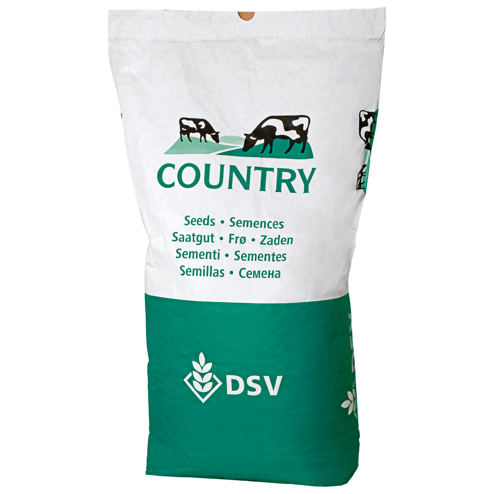 DSV Country Miscela per Prato Secco 2013 20kg - Miscela per Terreni Secchi