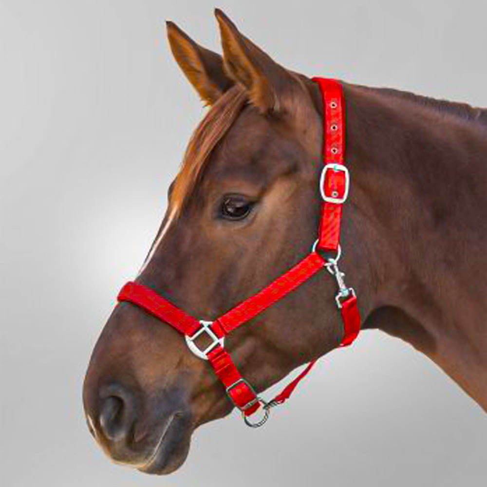 Capezza Satin Regolabile e Morbida