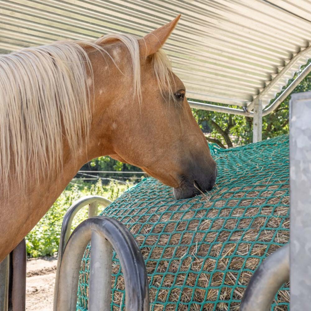 Rete da fieno per balle tonde per cavalli