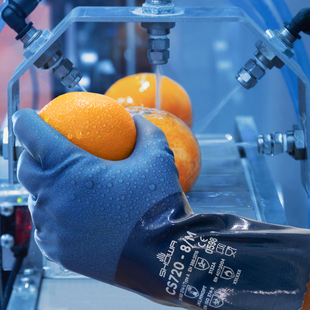 Guanti resistenti ai prodotti chimici