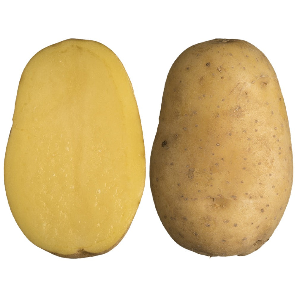 Saatkartoffel Sissi Gelbes Fleisch – 25Kg
