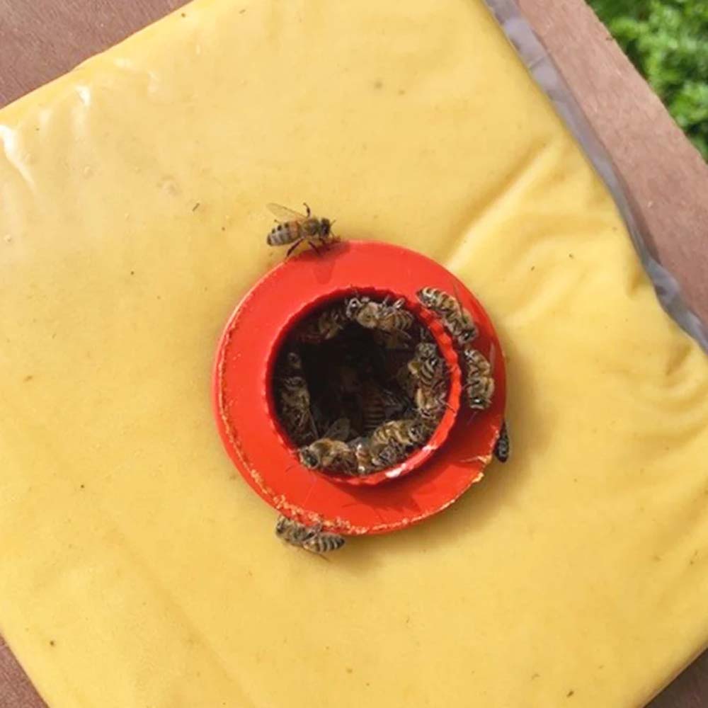 Candi sac per buste di candito con taglio