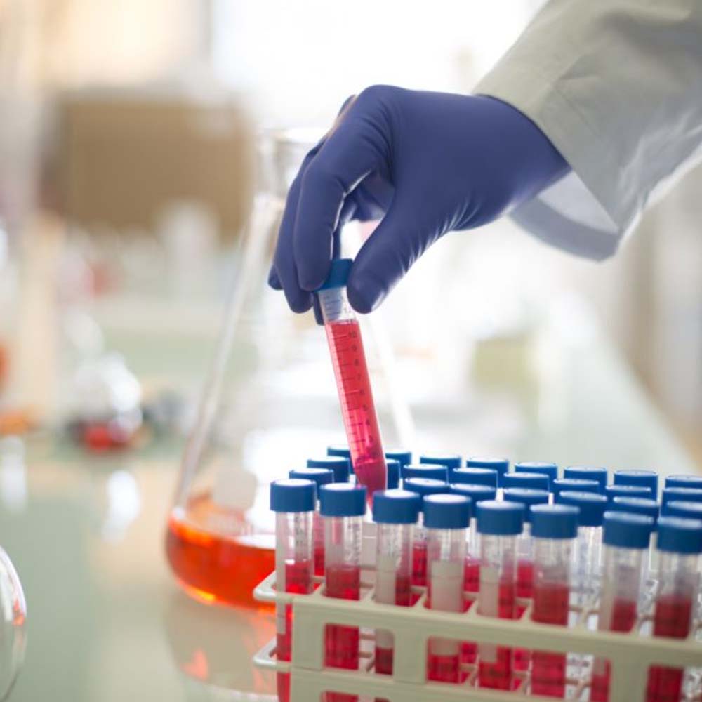 Showa 7585 Guanti monouso in nitrile blu cobalto da 50 pezzi