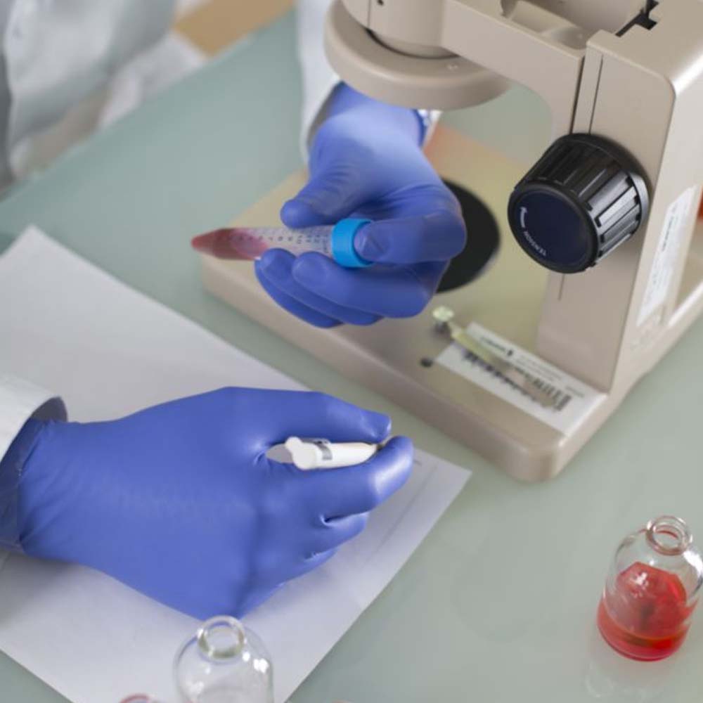 Showa 7585 Guanti monouso in nitrile blu cobalto da 50 pezzi