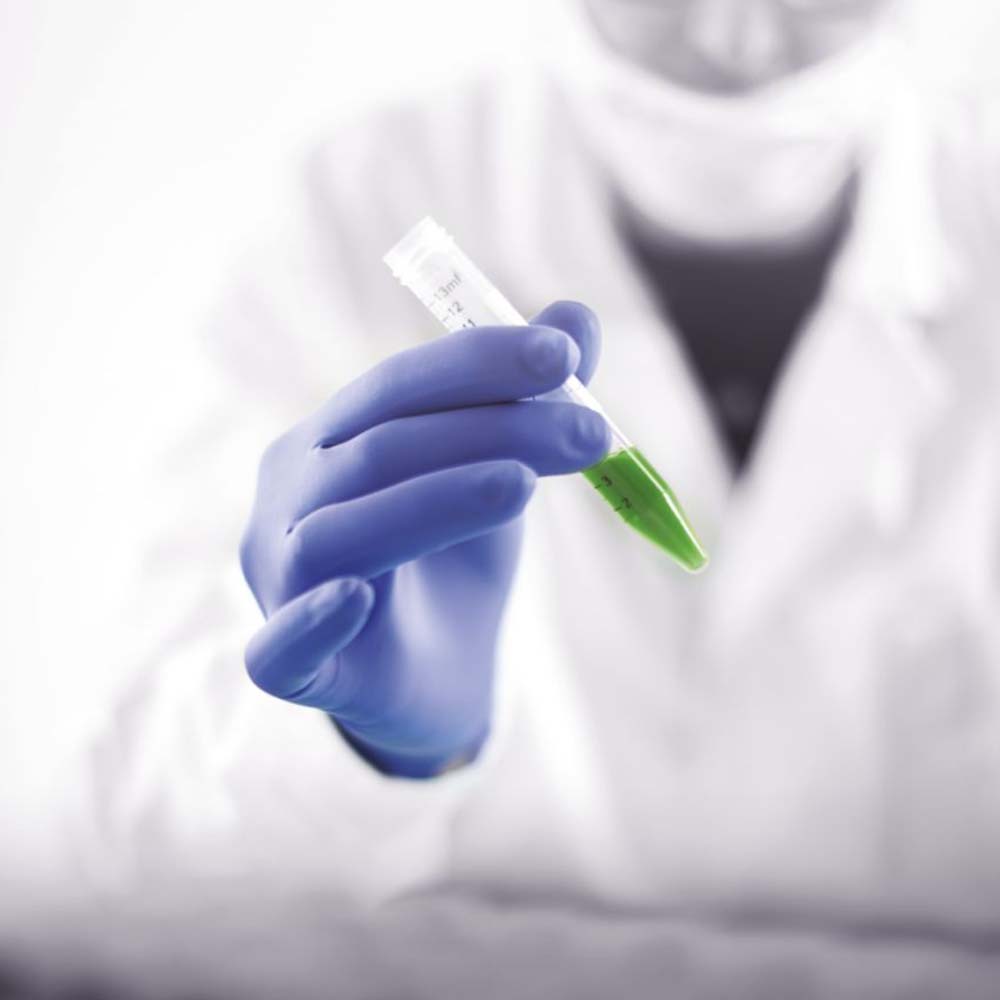 Showa 7585 Guanti monouso in nitrile blu cobalto da 50 pezzi